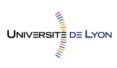 Universit de Lyon